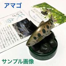 【未組立て】 森と清流 BIRDTALES 2 淡水魚 ３種 / アマゴ / ヤマメ / ウグイ / 魚 フィギュア / バードテイルズ / 海洋堂 松村しのぶ_画像4