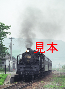 鉄道写真、645ネガデータ、143623650007、C11-325＋旧客（試運転）、JR只見線、会津高田駅、2005.06.02、（3009×4109）