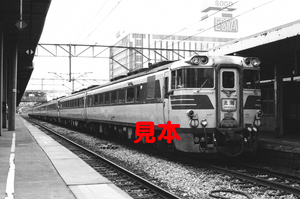 鉄道写真、35ミリネガデータ、02629800017、キハ82系、特急北海号、札幌駅、1983.07.22、（3104×2058）