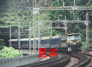 鉄道写真、645ネガデータ、112095740002、寝台特急さくら、EF66-53、JR東海道本線、根府川～早川、1998.07.02、（3898×2855）