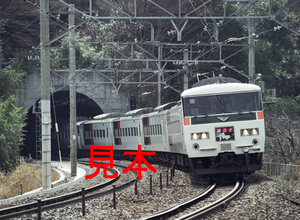 鉄道写真、645ネガデータ、142978310009、185系（C3編成）、特急踊り子号、JR東海道本線、、根府川～早川、2005.02.24、（4591×3362）