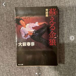 蘇える金狼 完結篇