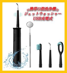 口内スッキリ USB充電式 超音波歯清潔器 防水口腔洗浄器 電動歯ブラシ