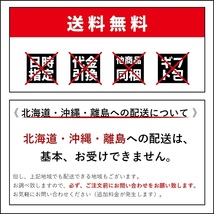 ゴミ箱 ワンハンド トラッシュカン 45L ダストボックス LFS-845GR グリーン ごみ箱 ハンドル ふた付き 日本製 おしゃれ カジュアル_画像8