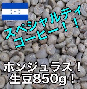 スペシャルティコーヒー!ホンジュラス ラス・クチージャス農園 生豆850g