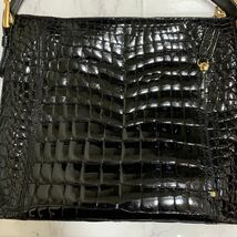 極上■本物■JRA公認■美品■ bag liore クロコダイル 2WAY ハンドバッグ ショルダー 肩掛けかばん 手提げ 手持ち_画像5