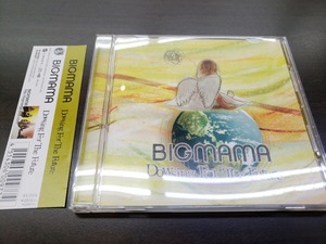 CD / Dowsing For The Future / BIGMAMA　ビッグママ / 『D21』 / 中古