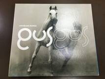 CD/ Arabian Horse gusgus　ガス・ガス /【J6】/中古_画像1