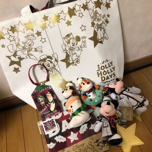 ディズニー2021クリスマス トートバックセット