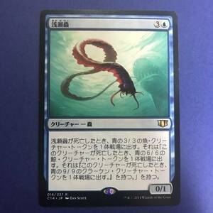 MTG/浅瀬蟲/Reef Worm/日本語/1枚