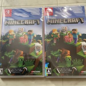 【新品未開封】Nintendo Switch マインクラフト Minecraft 2本セット