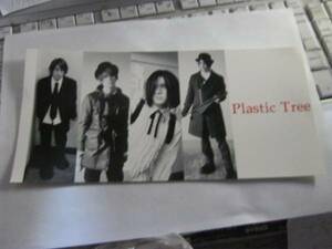 PLASTIC TREE プラスティックトゥリー / トレモロ 特典ステッカー