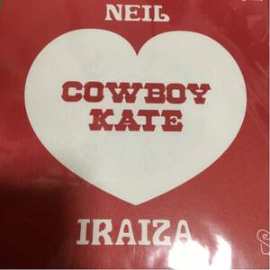 Neil & Iraiza / Cowboy Kate 7inch cubismo grafico Learners