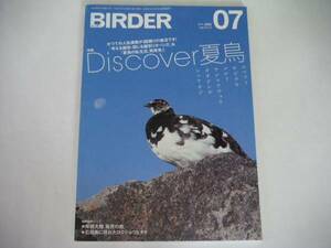 *Discover лето птица *BIRDER/ балка da-2011/7