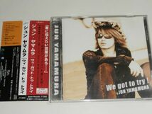 CD ジュン・ヤマムラ『ウィ・ガット・トゥ・トライ We got to try !』沖縄_画像1