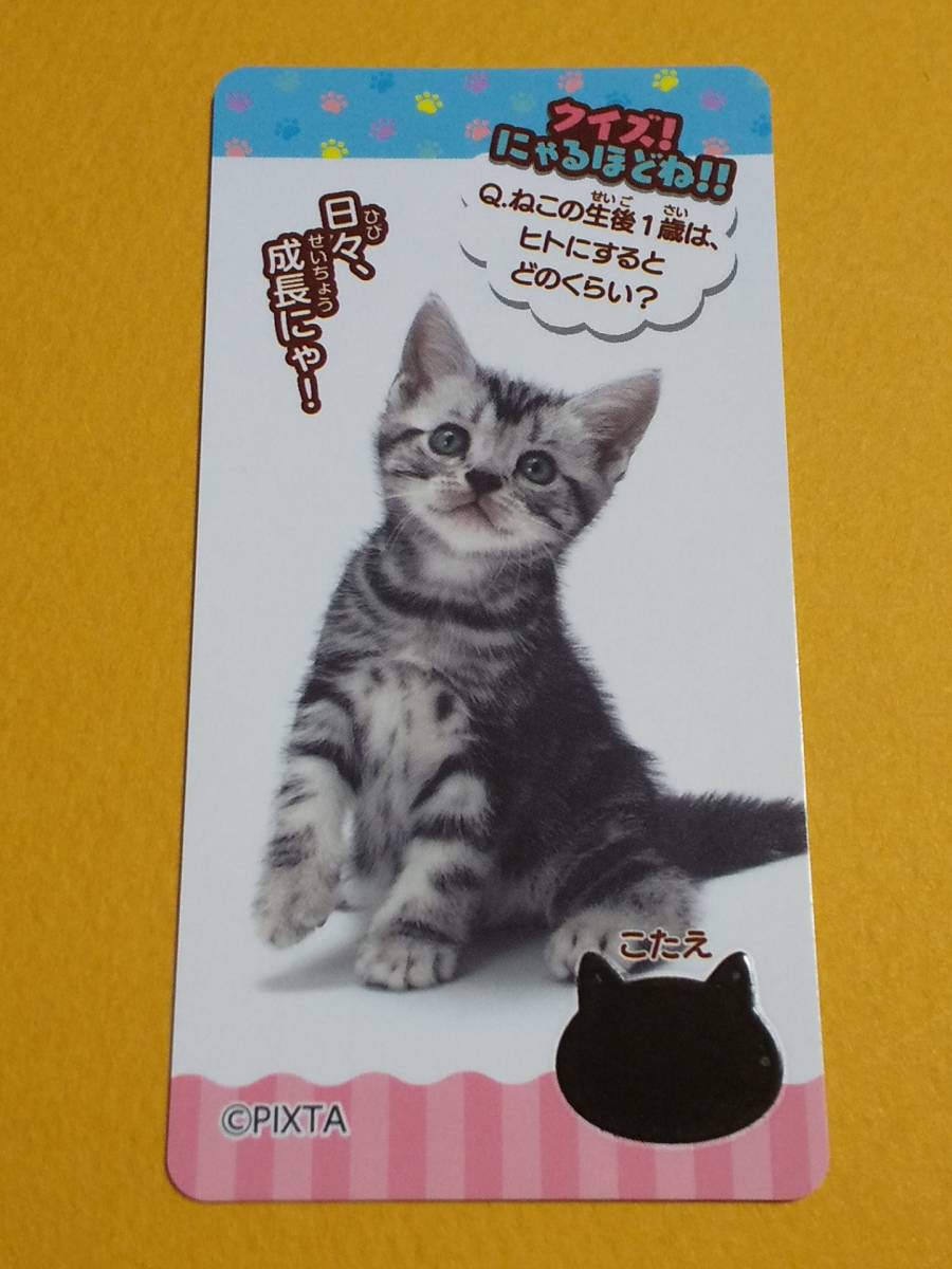 日本で買 未開封 リストにゃんこ にゃんダブル アメリカンショートヘア