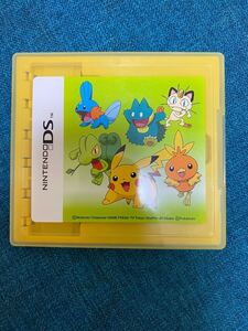 DS アドバンス ソフトキャリングケース