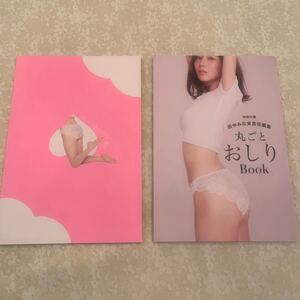 田中みな実丸ごとおしりブック