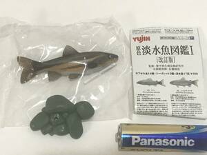 原色図鑑シリーズ21　原色淡水魚図鑑Ⅰ　改訂版　ウグイ　Yujin ユージン