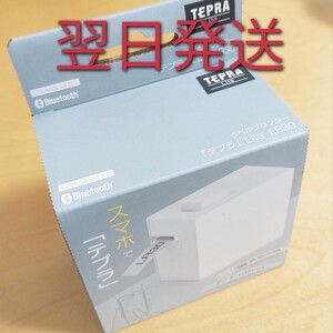 ラベルプリンター テプラ Lite LR30 ホワイト キングジム 納品書