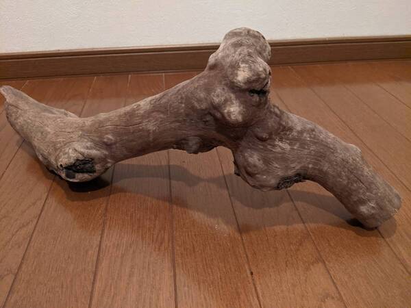 ☆天然流木 水槽 1点物 アクアリウム オブジェ アート 58×20×14cm 大和川 爬虫類 トカゲ ヘビ インテリア 大型 魚 隠れ家
