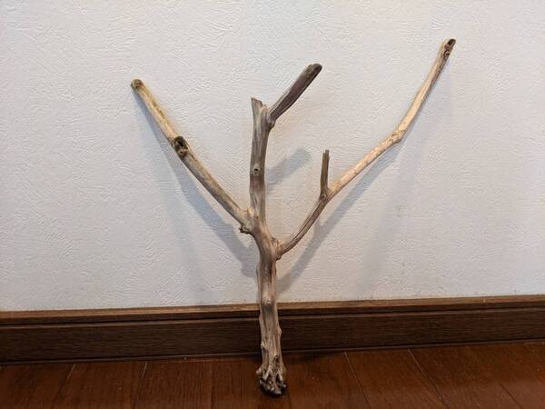☆天然流木 水槽 1点物 アクアリウム オブジェ アート 34×30×10cm 大和川 爬虫類 トカゲ ヘビ インテリア 枝 魚 隠れ家