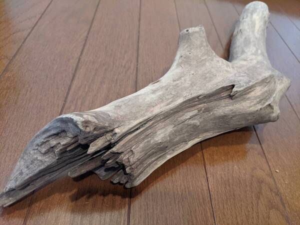 ☆天然流木 水槽 1点物 アクアリウム オブジェ アート 57.5×10×15cm 大和川 爬虫類 とかげ ヘビ インテリア 魚 めだか 隠れ家