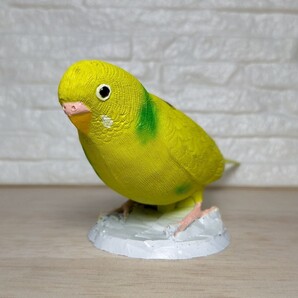 セキセイインコ ハルクイン(イエロー) フィギュア