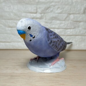 セキセイインコ オパーリン(バイオレット) フィギュア