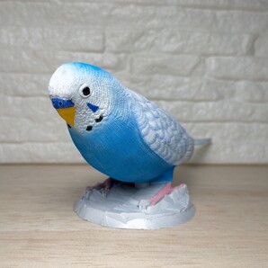 セキセイインコ スパンクル(ブルー) フィギュア