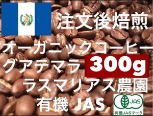 グアテマラ 有機JASオーガニック 300g