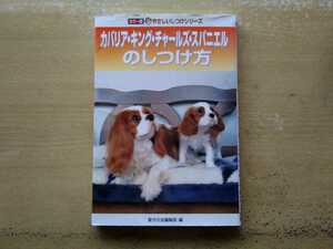  prompt decision kya burr a King Charles spaniel upbringing person preservation version start .. kyaba. .. person .. person toilet uselessness .. biting habit separate volume love dog. .