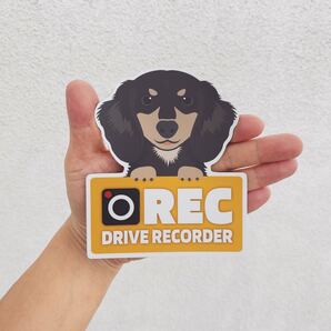 ダックスフンド ドラレコ録画中 マグネット