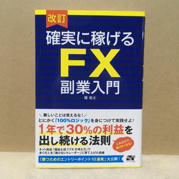 確実に稼げるFX副業入門/堀祐士