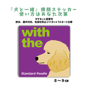 スタンダードプードル アプリコット『犬と一緒』 横顔 ステッカー【車 玄関】名入れOK DOG IN CAR 犬シール マグネット可 防犯