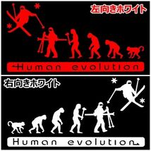 人類の進化 30cm【スキー編】アルペンステッカー1_画像2
