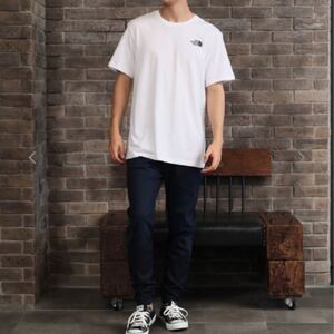 THE NORTH FACE メンズ Lサイズ Tシャツ 半袖シャツ