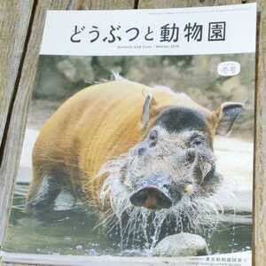 ☆どうぶつと動物園　2019年 冬号☆