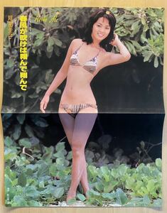 阿部圭子　水着ビキニ　ピンナップポスター