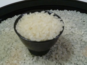 幻の米　ハツシモ(岐阜県産)3年度新米、玄米、19Kg 運賃安価