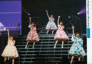 “Juice=Juice LIVE MISSION FINAL at 日本武道館”集合ライブver.パート2　L判生写真　宮崎由加/金澤朋子/高木紗友希/宮本佳林/植村あかり