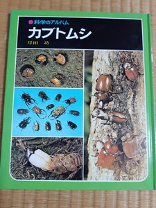 科学のアルバム カブトムシ 岸田功 あかね書房 学習本 絵本