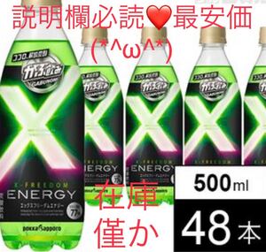 【購入前にメッセージ!48本】ポッカサッポロフード&ビバレッジ がぶ飲みエックスエナジー 500ml がぶ飲みできるエナジー炭酸