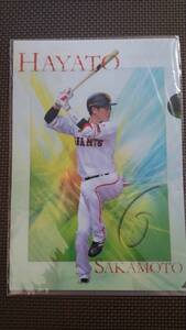 月刊ジャイアンツ2016.8月号付録 坂本勇人 クリアファイル B5