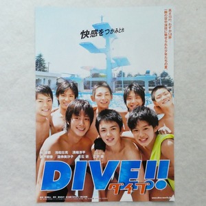 チラシ☆映画「DIVE！」2008年☆監督：熊澤尚人/原作：森絵都/林遣都/池松壮亮/溝端淳平