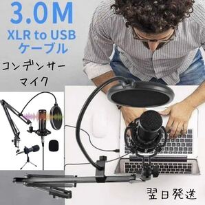 コンデンサーマイク USB XLR PC マイク エコー機能付き 単一指向性