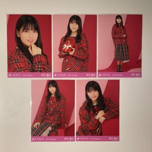乃木坂46 生写真 岩本蓮加 2019 バレンタイン コンプ