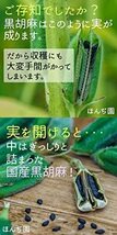 1袋（10g×20包）200g 国産 黒胡麻麦茶 ティーパック Honjien tea ほんぢ園 健康茶 10g×2_画像5