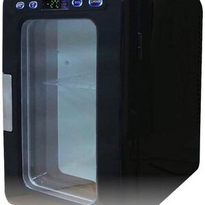 UP STORE 冷温庫 小型冷蔵庫 10L 氷点下-2~60℃まで設定可能 保温 保冷 ポータブル