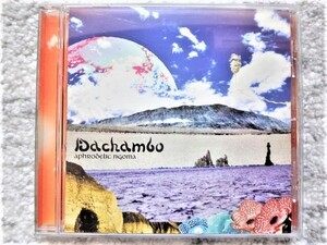 【 ａｐｈｒｏｄｅｌｉｃ　ｎｇｏｍａ／Ｄａｃｈａｍｂｏ 】帯付き 国内盤 CDは４枚まで送料１９８円